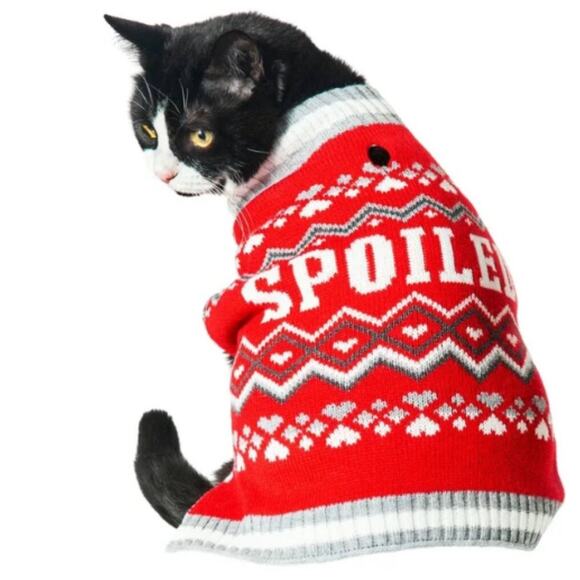 Vibrant Life "Spoiled" Red Pet Sweater - Picture 6 of 7